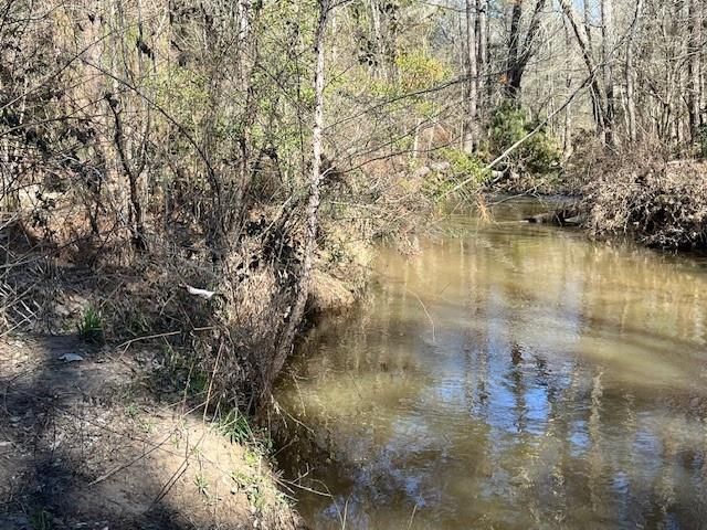 21438 Doru Drive, Cleveland, TX 77328