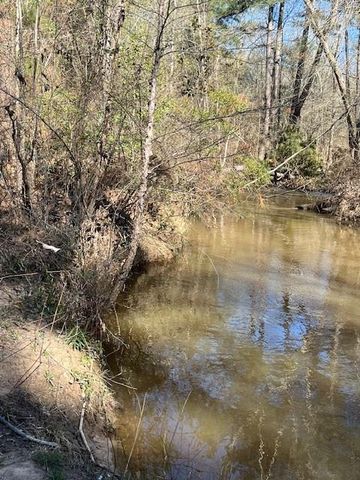 21438 Doru Drive, Cleveland, TX 77328