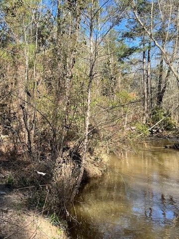 21438 Doru Drive, Cleveland, TX 77328