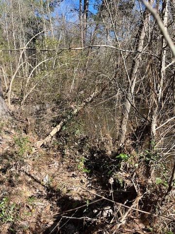 21438 Doru Drive, Cleveland, TX 77328