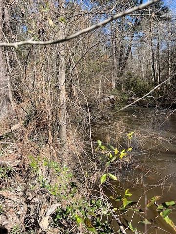 21438 Doru Drive, Cleveland, TX 77328