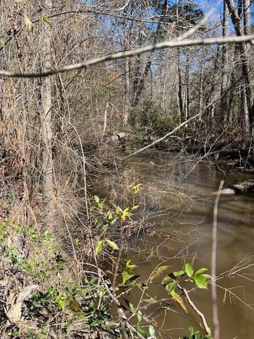 21438 Doru Drive, Cleveland, TX 77328