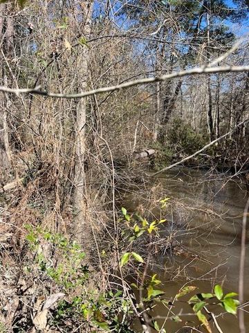 21438 Doru Drive, Cleveland, TX 77328