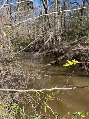 21438 Doru Drive, Cleveland, TX 77328