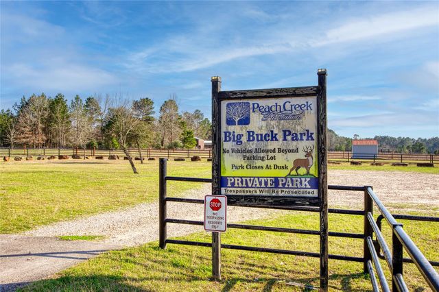 21438 Doru Drive, Cleveland, TX 77328