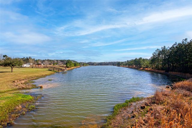 21438 Doru Drive, Cleveland, TX 77328