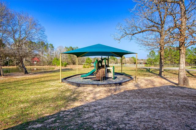 21438 Doru Drive, Cleveland, TX 77328