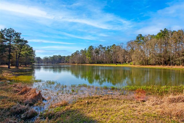 21438 Doru Drive, Cleveland, TX 77328