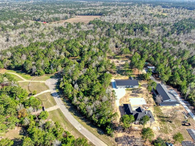 21438 Doru Drive, Cleveland, TX 77328