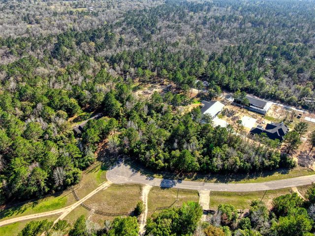 21438 Doru Drive, Cleveland, TX 77328