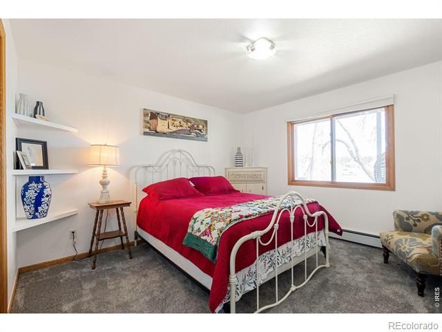 3416 Terry Point Drive, Fort Collins, CO 80524