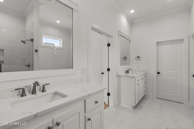 373 Wellstone Place, Madison, MS 39110