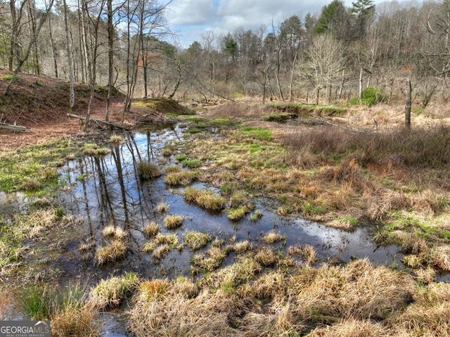 4081 Whitepath Road, Ellijay, GA 30540