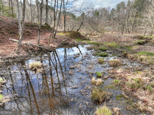 4081 Whitepath Road, Ellijay, GA 30540