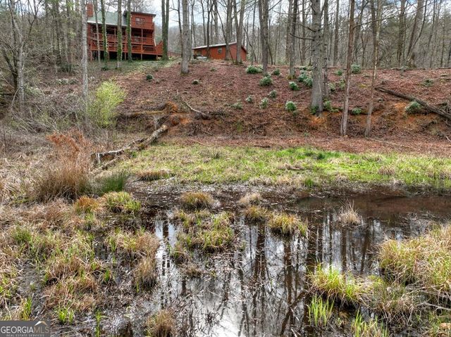 4081 Whitepath Road, Ellijay, GA 30540