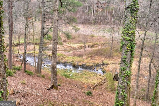 4081 Whitepath Road, Ellijay, GA 30540