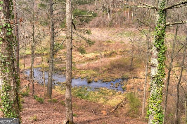 4081 Whitepath Road, Ellijay, GA 30540