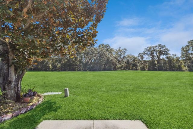 26755 CASH COURT, Leesburg, FL 34748