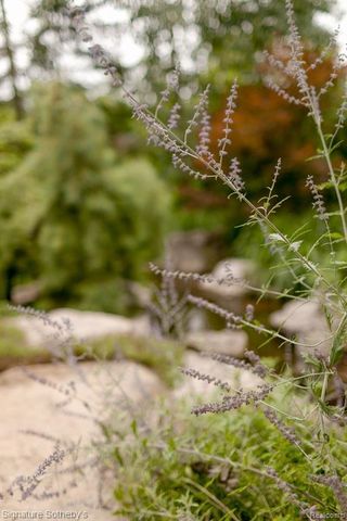 7357 Lindenmere Drive, Bloomfield Hills, MI 48301