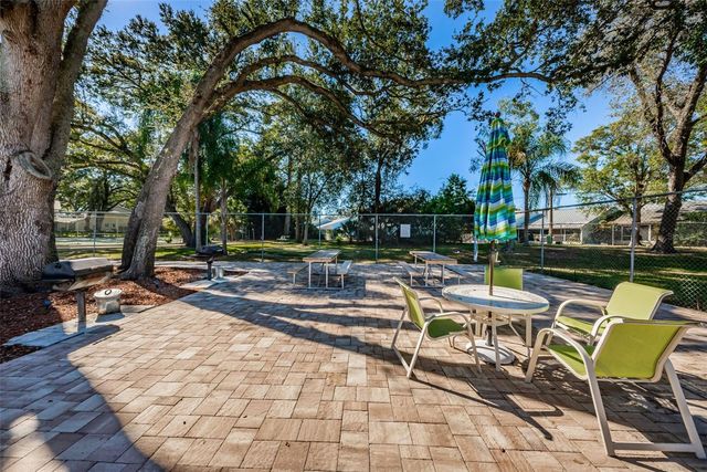 3295 FOX CHASE CIRCLE N 107, Palm Harbor, FL 34683