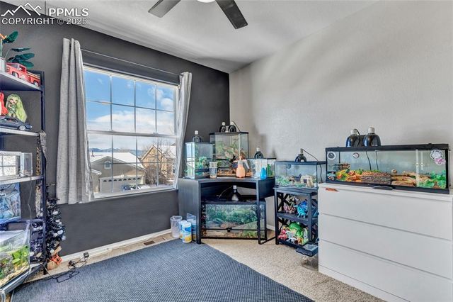 7037 Wood Lily Drive, Colorado Springs, CO 80923