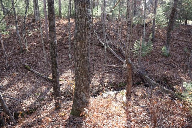 N8724 Lakeside Road, Willard, WI 54493