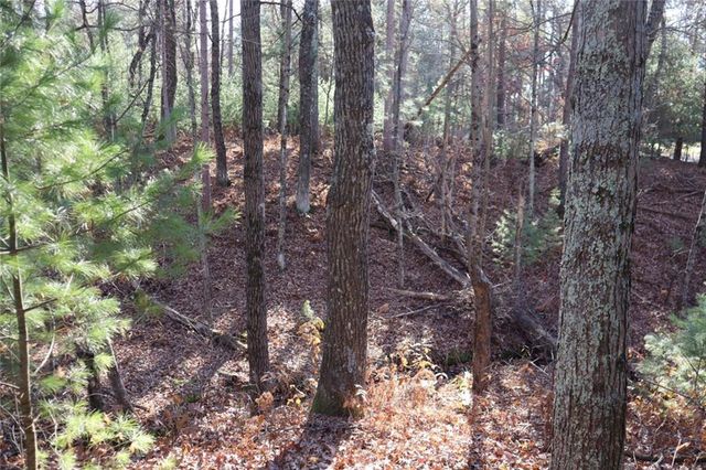 N8724 Lakeside Road, Willard, WI 54493