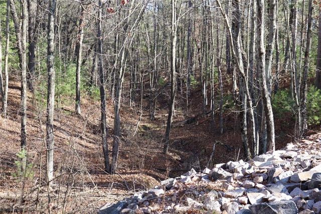 N8724 Lakeside Road, Willard, WI 54493