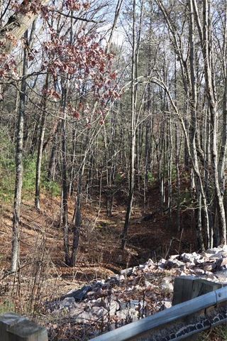 N8724 Lakeside Road, Willard, WI 54493