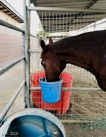 9950 Rancho Destino Road, Las Vegas, NV 89183