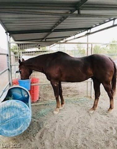 9950 Rancho Destino Road, Las Vegas, NV 89183