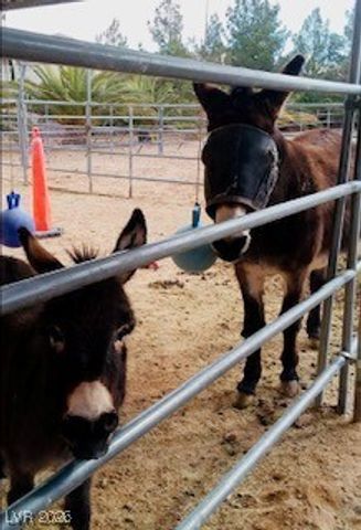 9950 Rancho Destino Road, Las Vegas, NV 89183