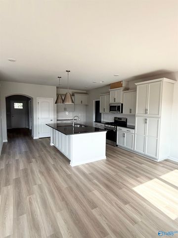 221 Allegro Circle, Harvest, AL 35749