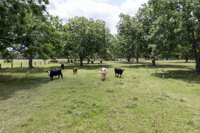 2640 County Road 107, Boling, TX 77420