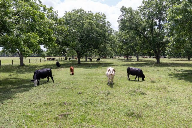 2640 County Road 107, Boling, TX 77420