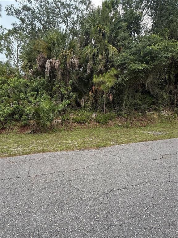 703 Cleveland AVE, LEHIGH ACRES, FL 33972 — photo 2