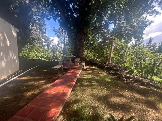 A URB. LA ESMERALDA, Caguas, PR 00727