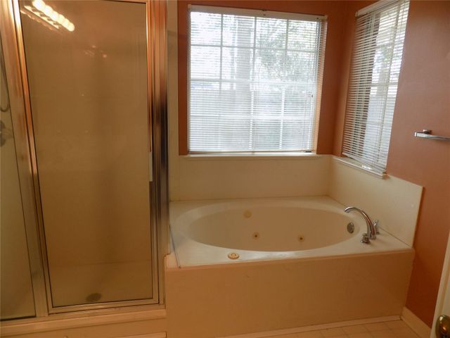 22623 River Birch Drive, Tomball, TX 77375