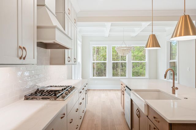 2508 Annie Aiden Lane, Charleston, SC 29414