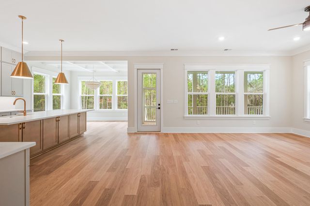 2508 Annie Aiden Lane, Charleston, SC 29414