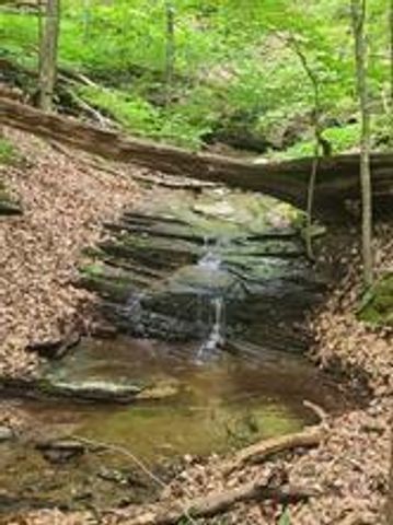 1649 Moss Patch Trail, Jasper, GA 30143