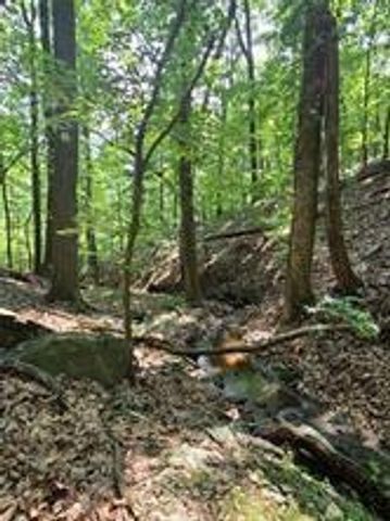 1649 Moss Patch Trail, Jasper, GA 30143