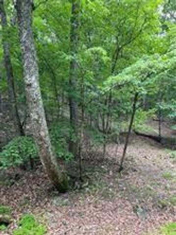 1649 Moss Patch Trail, Jasper, GA 30143