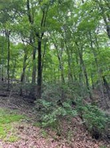 1649 Moss Patch Trail, Jasper, GA 30143
