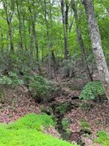 1649 Moss Patch Trail, Jasper, GA 30143