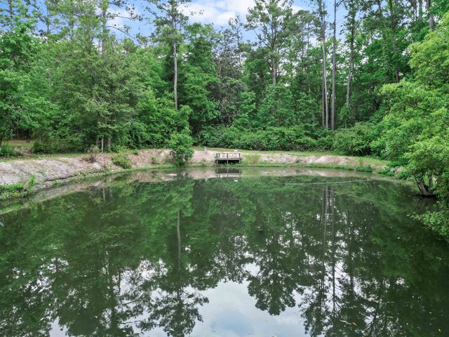 15766 NE Bob Sanders Road, Hosford, FL 32334