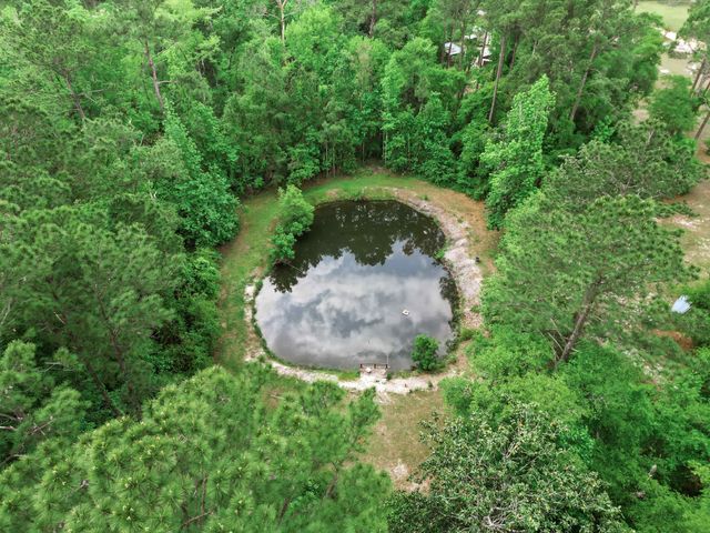 15766 NE Bob Sanders Road, Hosford, FL 32334