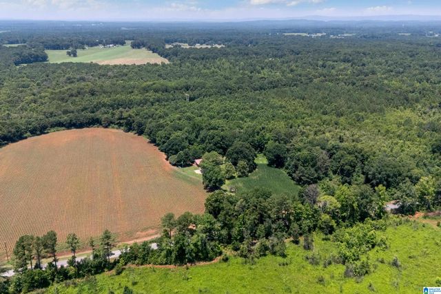 4049 KLEIN ROAD, Harpersville, AL 35078