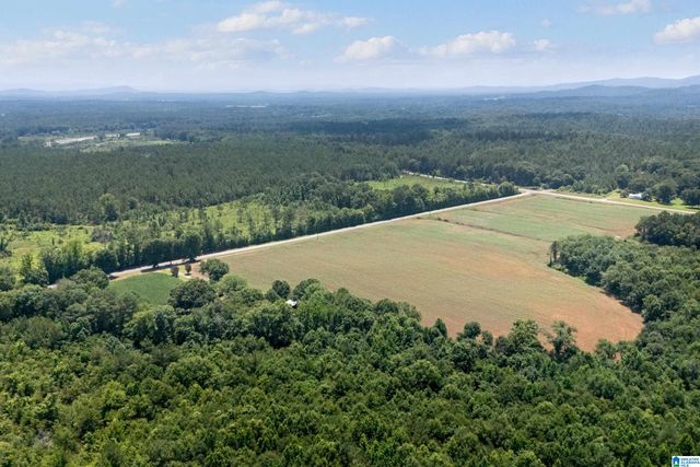 4049 KLEIN ROAD, Harpersville, AL 35078