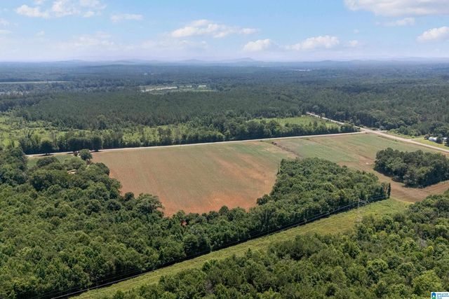 4049 KLEIN ROAD, Harpersville, AL 35078